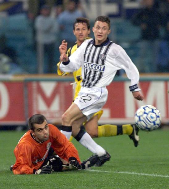 带来一种新 带来一种新